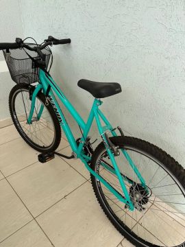 Bicicleta Wendy - Tamanho Adulto
