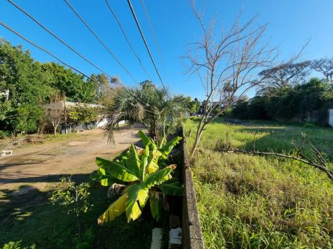 Terreno na avenida Coronel Marcos medindo 11 de frente por 100 de comprimento.Opção de com