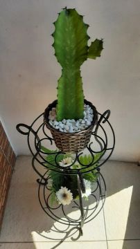 Suporte de plantas dois andares