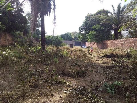 Terreno 