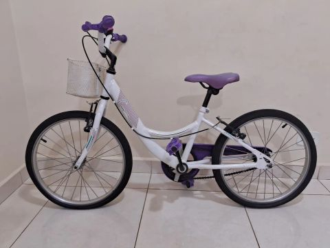 1 Bicicleta Ceci aro 20