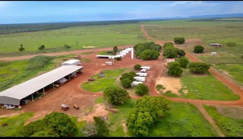 Imóvel para venda possui 350000000 metros quadrados com 1 quarto em Zona Rural - Confresa 