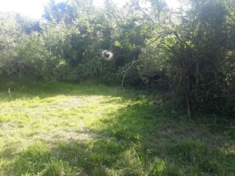 Terreno com fundos pro Rio