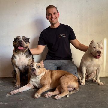 Adestramento de cães no Vale