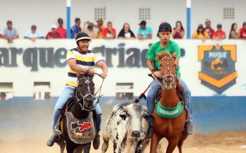 Cavalo de esteira pra comércio. 