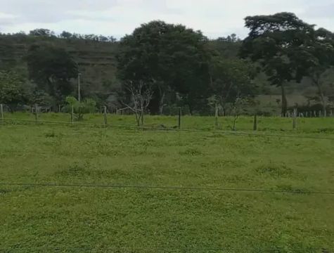 VENDA DE FAZENDA HÁ 59 KM DA CAPITAL PALMAS/TO