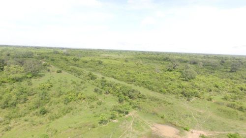Fazenda arrendamento pra GADO, até 12.000 bois, 18 mil hect em poconé MT 40.00 p/cabeça