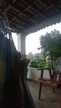 Sítio com pomar