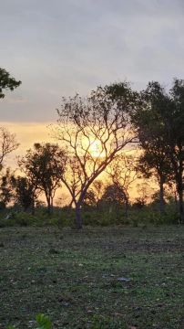 FAZENDA PARA PECUÁRIA E AGRICULTURA  LUCIARA/MT E SÃO FÉLIX DO ARAGUAIA/MT