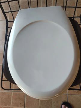 Tampa assento vaso sanitário 