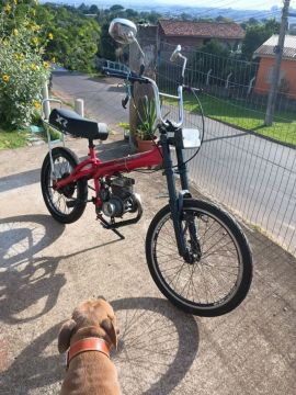 Bicicleta Motorizada