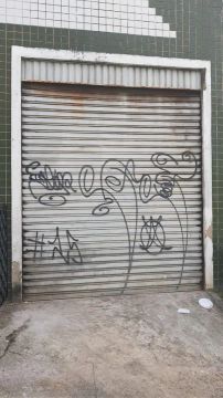 Porta de aço de garagem