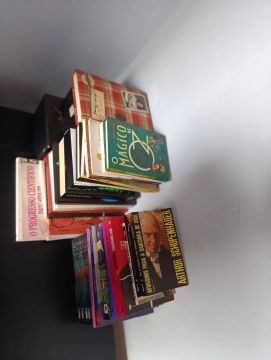 Lote de livros diversos