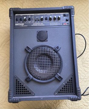 Caixa de Som Amplificada Wattson Entertech 100