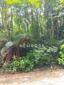Lote em Rua 9 - Alpes - São Francisco de Paula/RS