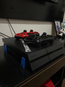PS4 fat