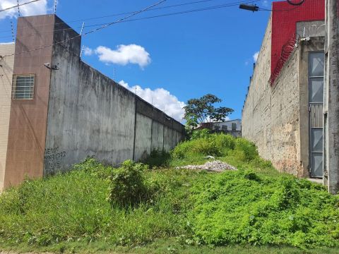 Vendo Terreno 10x50 Ótimo para Galpão 