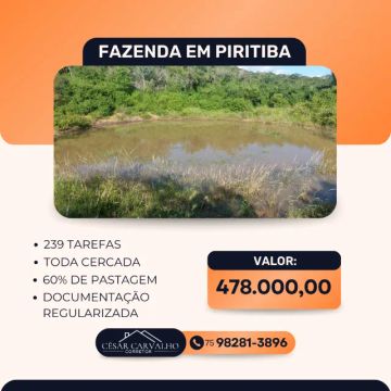 FAZENDA EM PIRITIBA  - 239 TAREFAS