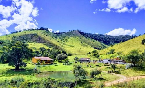 Fazenda com 108 hectares a venda em Barra Longa