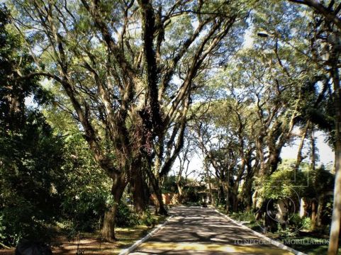 Terreno no Condomínio Villa Vianna, Granja Viana - Cotia/SP