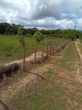 Terreno com CERCA,MATA E COM MINADOR
