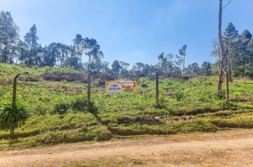 Terreno para venda em Zona Rural - Tijucas do Sul - PR