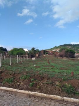 Lotes a venda 