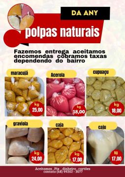 Polpas de fruta natural - sabores variados