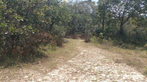 Área 22.000m² em Zona Rural - Mata de São João - BA