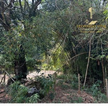 APENAS R$ 60 mil !!!! Terreno em PIRANGUÇU zona rural ?