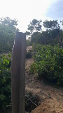 Fazenda a venda!