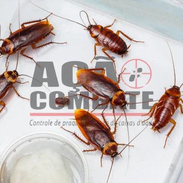 Dedetização Uberlândia, desratização controle de Pragas limpeza de caixa d'agua