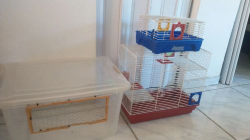 Gaiola gigante para hamster 3 em 1