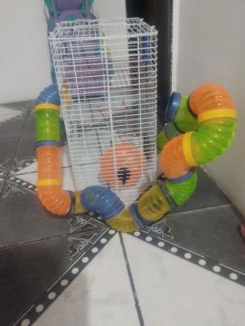 Gaiolade hamster 120 semi nova 