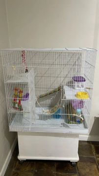 GAIOLA PET MARCA IPANEMA MODELO 85 SEMINOVA
