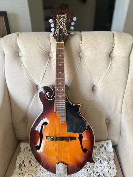 Vendo Mandolin 