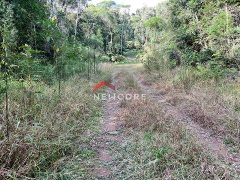 Lote em Rua 20 - Alpes - São Francisco de Paula/RS