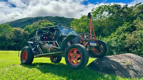 Gaiola Triplo XXX (AP 1.8 Turbo)