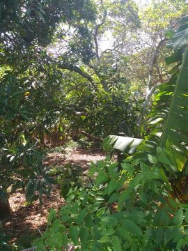 Lote escriturado em IRIRI Anchieta ES