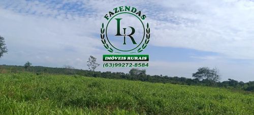 Fazenda 18 Alqueires Próximo a Palmas