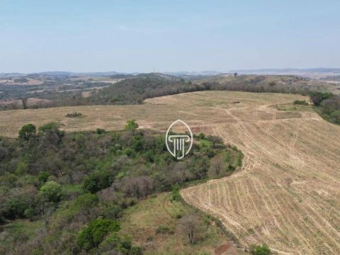 Linda Fazenda à venda, 42 alqueires por R$ 12.000.000 - Zona Rural - Jataizinho/PR