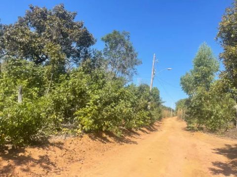 Chácara à Venda - 1.200m² em Palmas-TO (Agrotins, Próx. ao Lago)