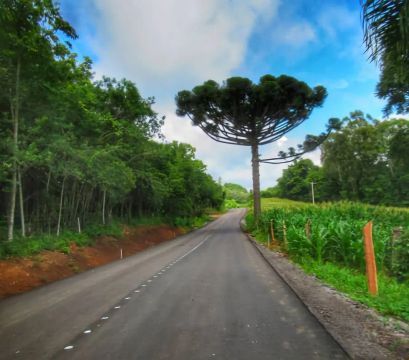 Excelente área de terras de 5 mil metros quadrados sem residência. 