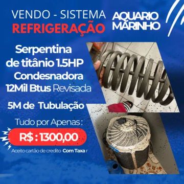  Chiller Aquário marinho - Refresque seu aquário com o melhor sistema de refrigeração! ?