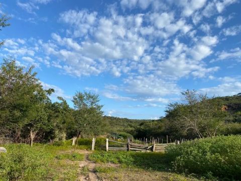 FAZENDA DOCUMENTADA COM 747 HECTARES