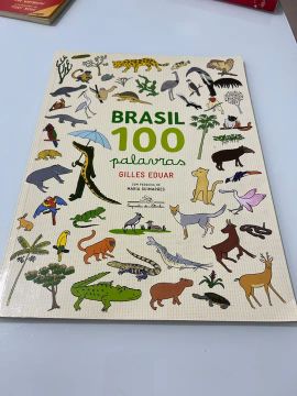Livro - Brasil 100 palavras 