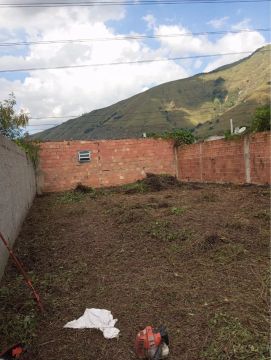 Terreno 12x36 360m2 Jardim Palmares