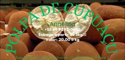 Polpa de cupuaçu