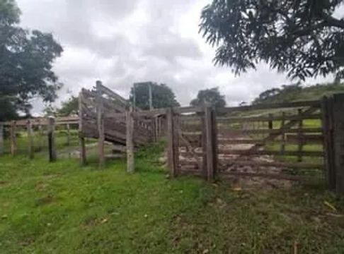 Fazenda em aldeias altas-MA