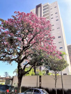 |  Condomínio: MORADA VIVERDI | - Jardim Guanabara - Campinas/S.P. Apartamento a venda and